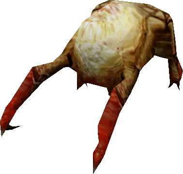 Headcrab Headcrab